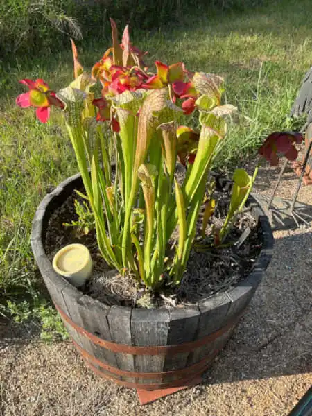 Bog Barrel Kit
