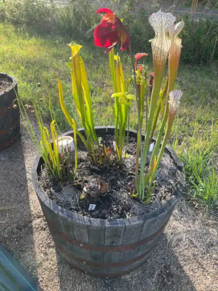 Bog Barrel Kit