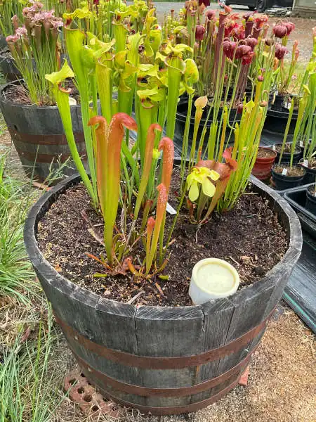 Bog Barrel Kit